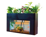 プラス 中学校教材 屋内用小型アクアポニックス~さかな畑~